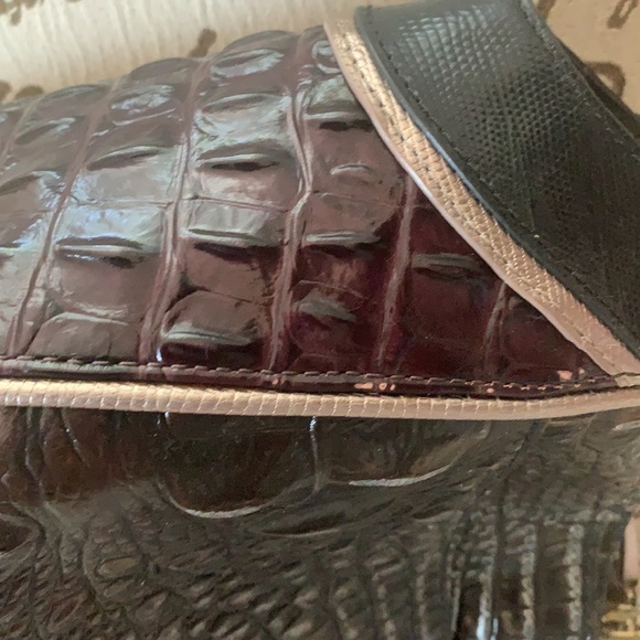 Brahmin - Picture 8 of 12